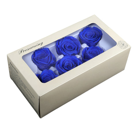 6 Pieces Preserved Rose Flower