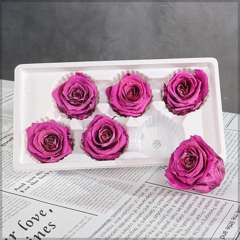 6 Pieces Preserved Rose Flower