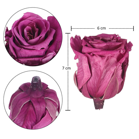 6 Pieces Preserved Rose Flower