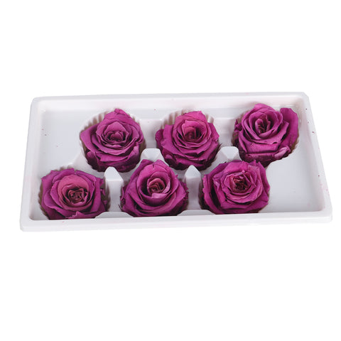 6 Pieces Preserved Rose Flower