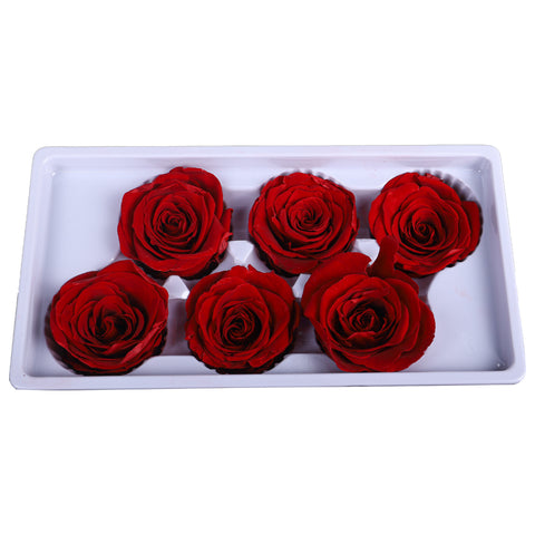6 Pieces Preserved Rose Flower