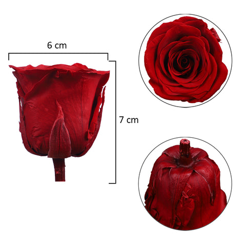 6 Pieces Preserved Rose Flower