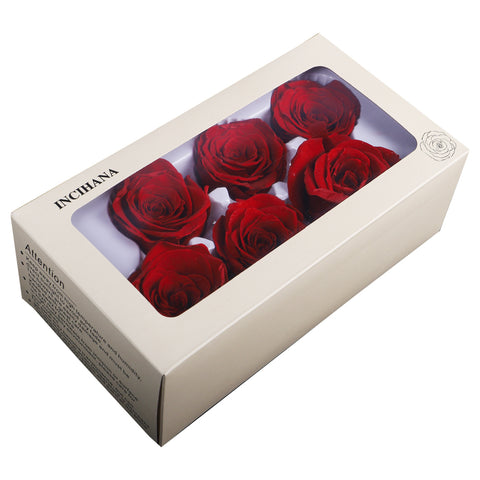 6 Pieces Preserved Rose Flower