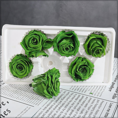 6 Pieces Preserved Rose Flower