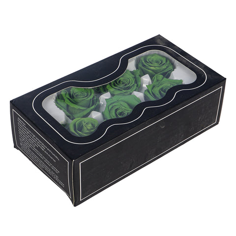 6 Pieces Preserved Rose Flower