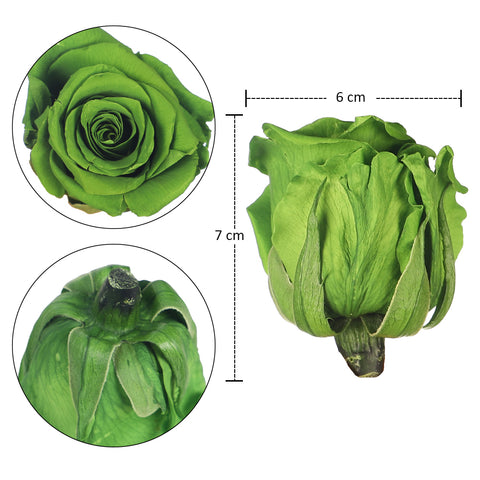 6 Pieces Preserved Rose Flower