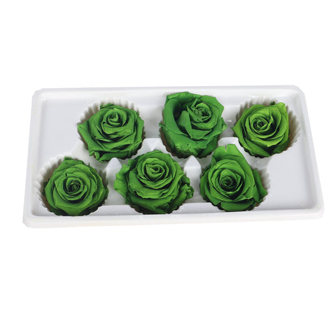 6 Pieces Preserved Rose Flower