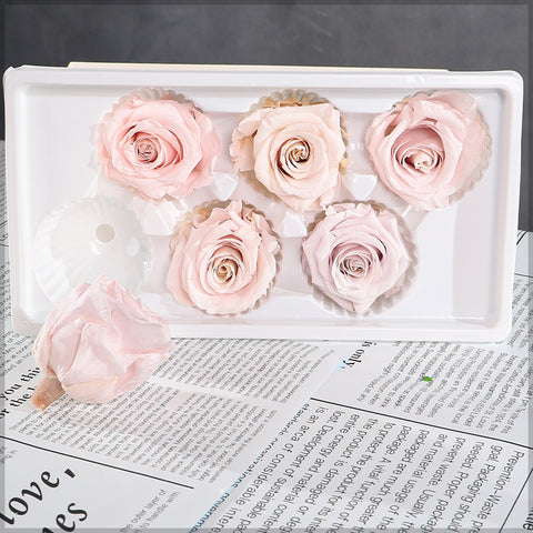 6 Pieces Preserved Rose Flower