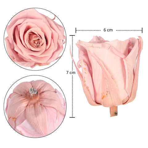 Dried Rose Flowers