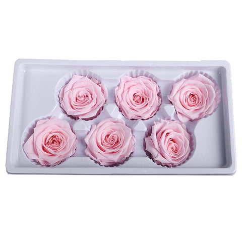 6 Pieces Preserved Rose Flower