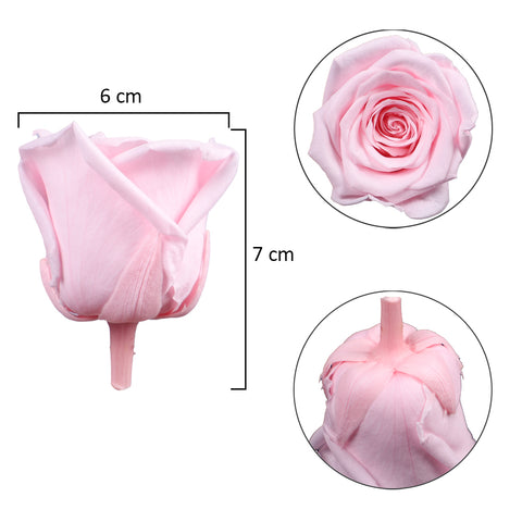 6 Pieces Preserved Rose Flower