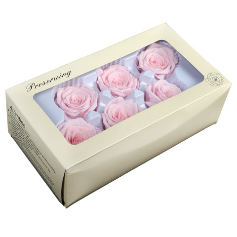 6 Pieces Preserved Rose Flower