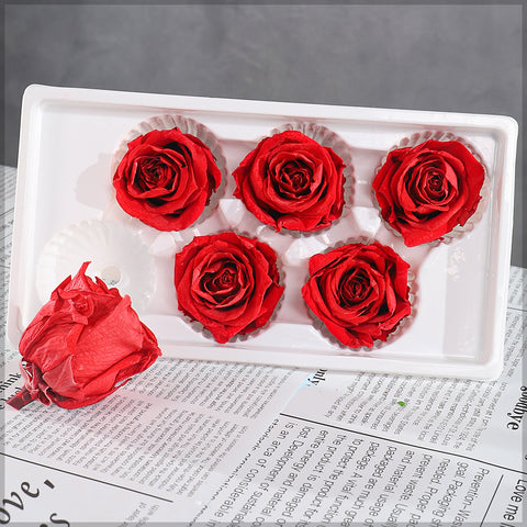 6 Pieces Preserved Rose Flower
