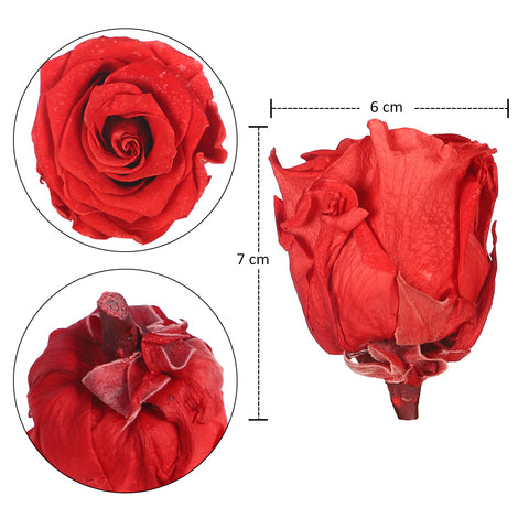 6 Pieces Preserved Rose Flower