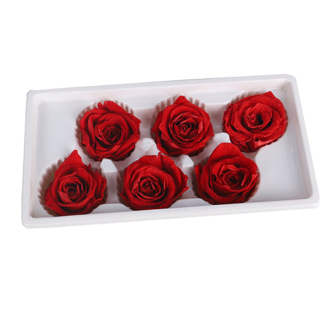6 Pieces Preserved Rose Flower