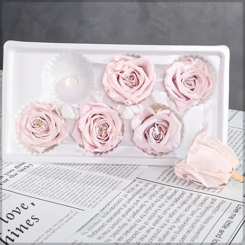 6 Pieces Preserved Rose Flower