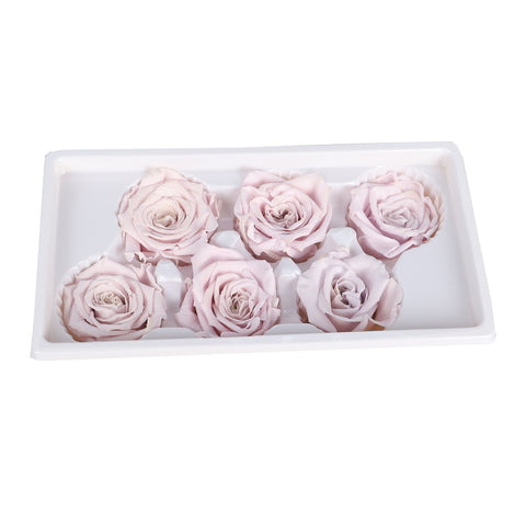 6 Pieces Preserved Rose Flower
