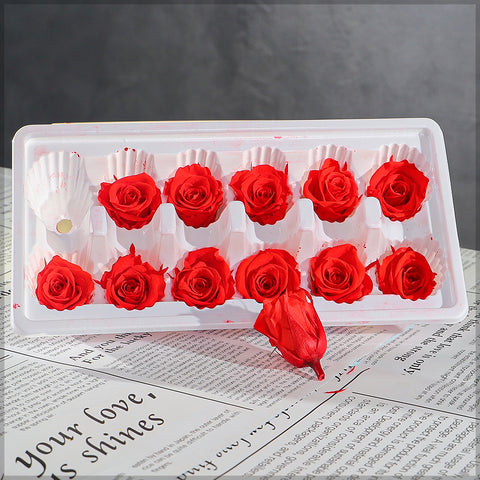 natural dried rose