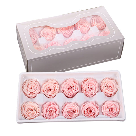 10pcs in a Box Preserved Rose Flowers