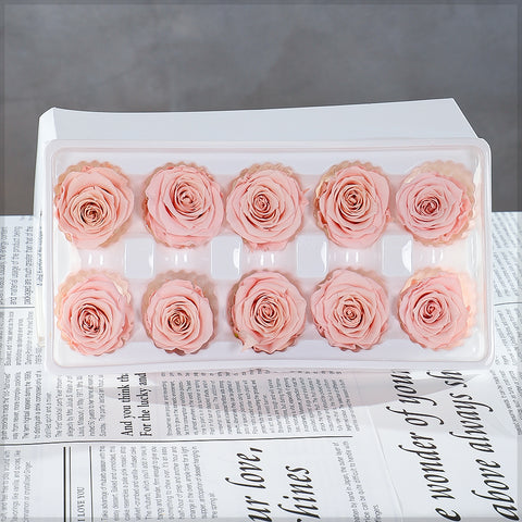 10pcs in a Box Preserved Rose Flowers