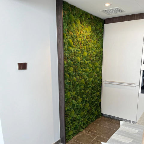 Indoor Green Wall Installation in Modern Kitchen for display purposes only (non-sale)