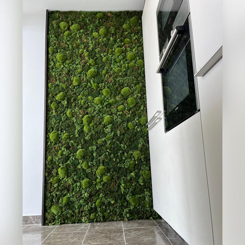 Indoor Green Wall Installation in Modern Kitchen for display purposes only (non-sale)