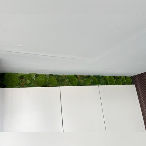 Indoor Green Wall Installation in Modern Kitchen for display purposes only (non-sale)