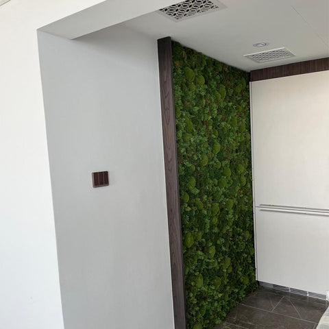 Indoor Green Wall Installation in Modern Kitchen for display purposes only (non-sale)