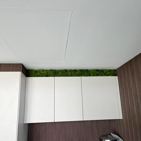 Indoor Green Wall Installation in Modern Kitchen for display purposes only (non-sale)