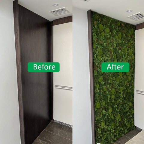 Indoor Green Wall Installation in Modern Kitchen for display purposes only (non-sale)