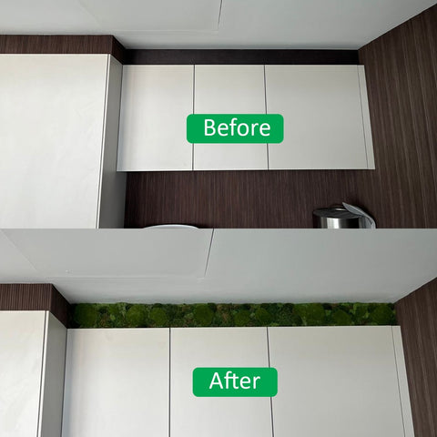 Indoor Green Wall Installation in Modern Kitchen for display purposes only (non-sale)