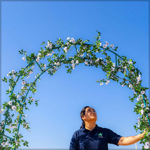 Garden decor UAE