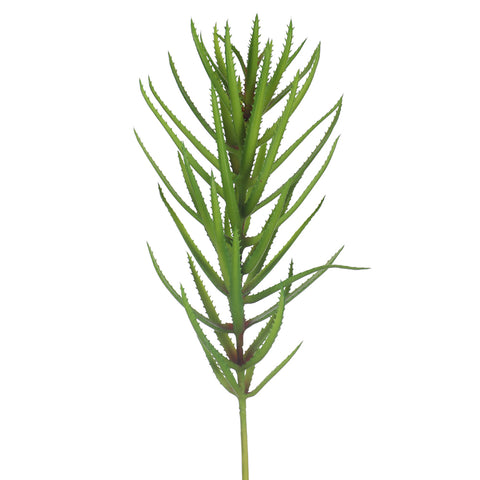 Artificial Aloe Vera Cactus Plant