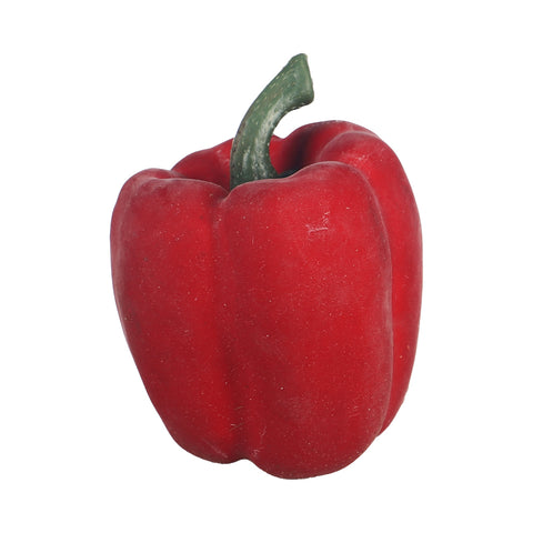 Fake bell pepper plant