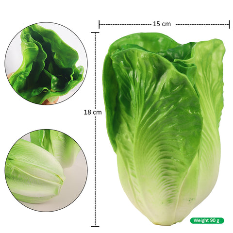 Fake lettuce vegetable