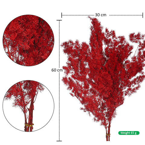Natural Dried Fern Branch(without vase)