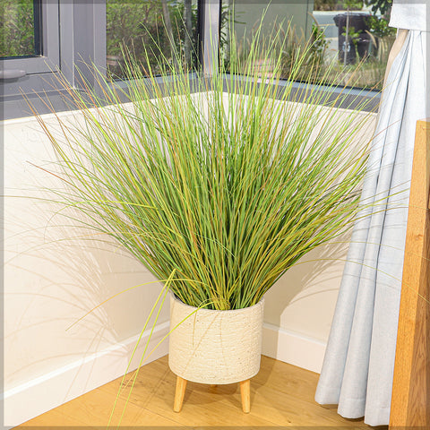 Nearly natural grass plant