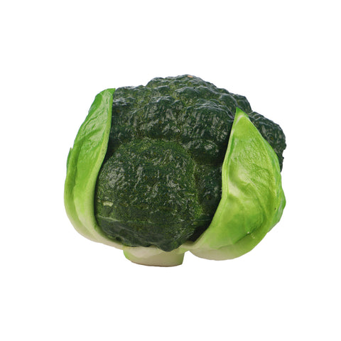 Nearly natural fake broccoli vegetable
