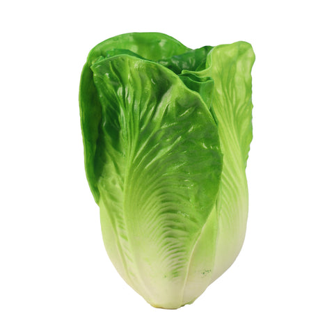 Nearly natural fake lettuce vegetable
