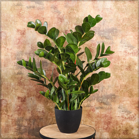 Nearly Natural Money Plant 80cm High for modern interiors