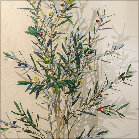 Faux Olive Plant