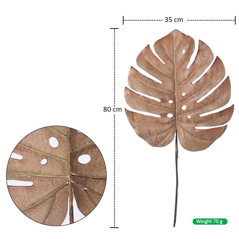 dried monstera leaf