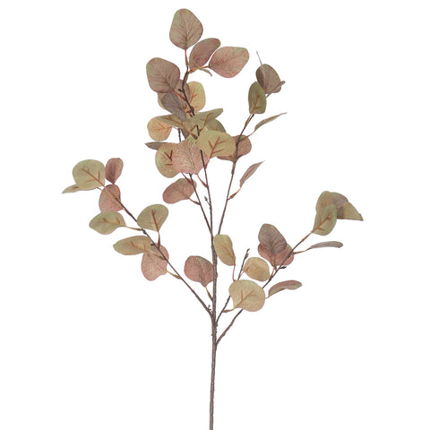 Silk Lambs Ear Leaves