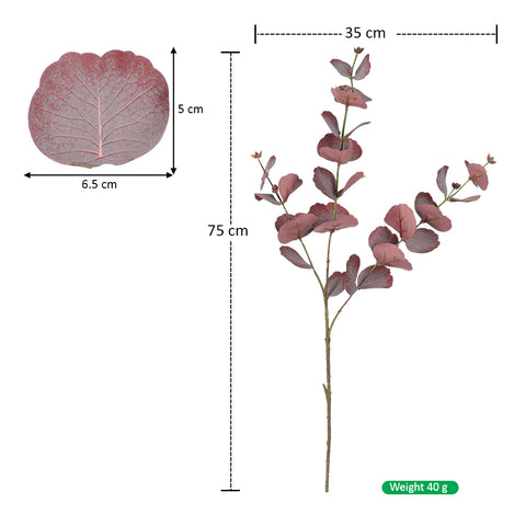 75cm eucalyptus stem