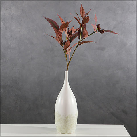 Eucalyptus leaf stem