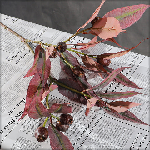 Decorative eucalyptus branch