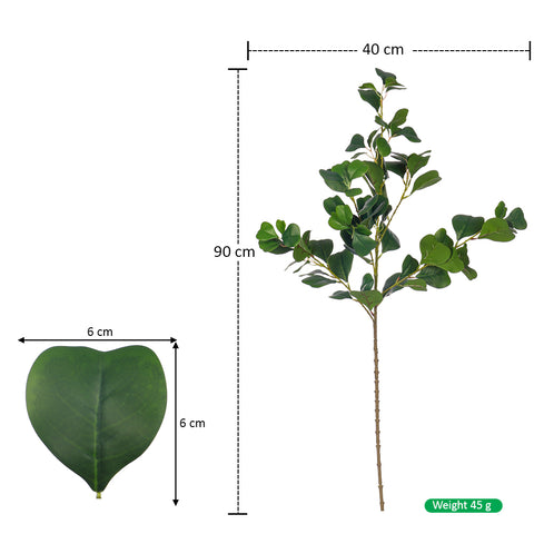 Indoor plant leaves