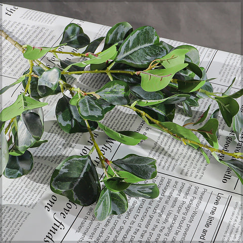 Green heart leaf