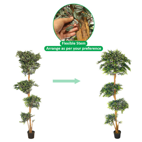 realistic indoor ficus plant