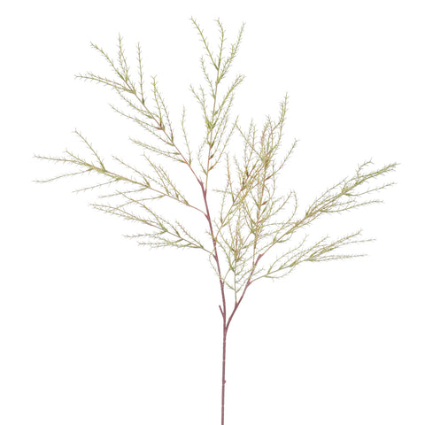 Greenery vine